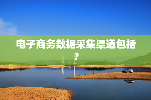 电子商务数据采集渠道包括？