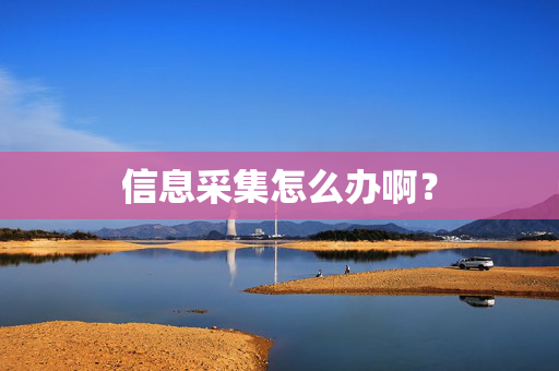 信息采集怎么办啊？