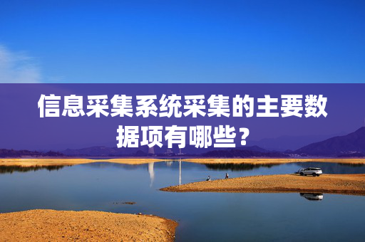 信息采集系统采集的主要数据项有哪些？