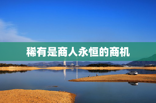 稀有是商人永恒的商机