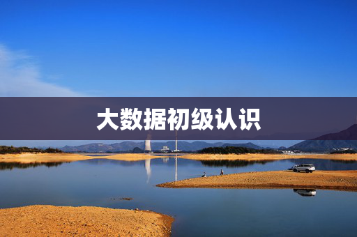 大数据初级认识  第1张