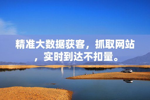 精准大数据获客，抓取网站，实时到达不扣量。