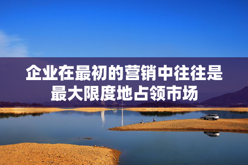 企业在最初的营销中往往是最大限度地占领市场