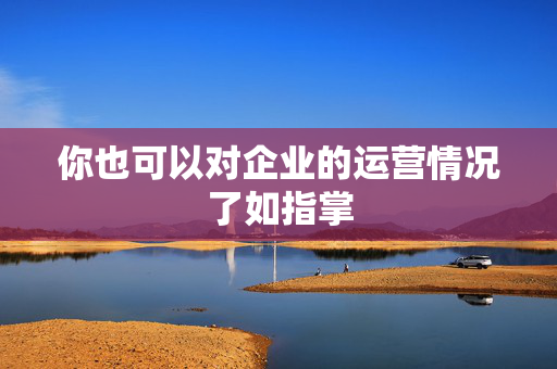 你也可以对企业的运营情况了如指掌