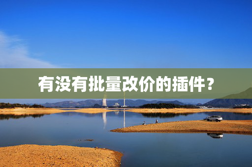 有没有批量改价的插件？