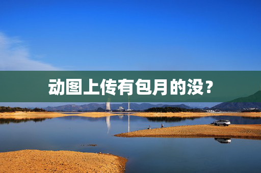 动图上传有包月的没？  第1张