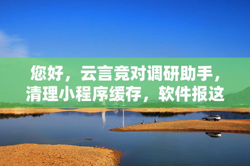 您好，云言竞对调研助手，清理小程序缓存，软件报这个错误怎么解决呢？  第1张