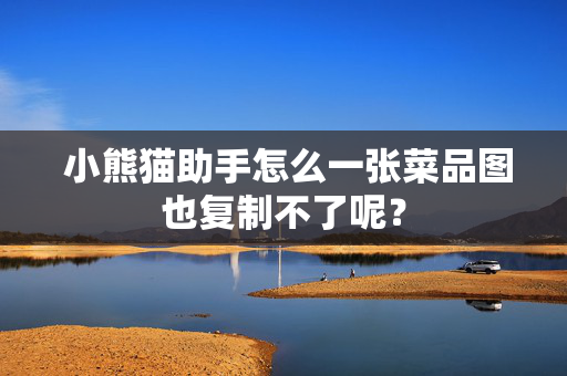  小熊猫助手怎么一张菜品图也复制不了呢？ 第1张