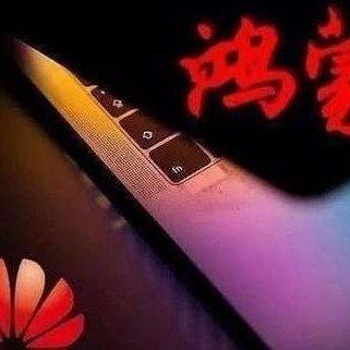 鸿蒙系统手机如何开启无障碍权限？