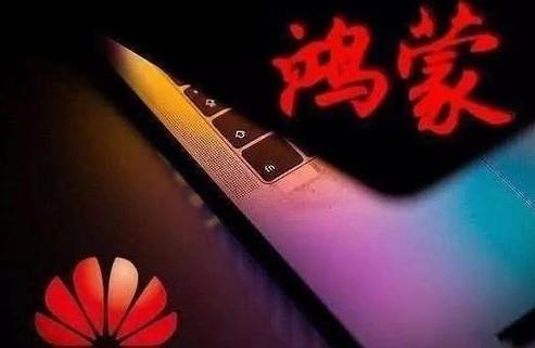 鸿蒙系统手机如何开启无障碍权限？ 鸿蒙 无障碍权限 第1张 鸿蒙系统手机如何开启无障碍权限？ 常见问题