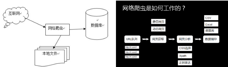 号码数据采集不用敲爬虫代码也能轻松爬数据 行业资讯